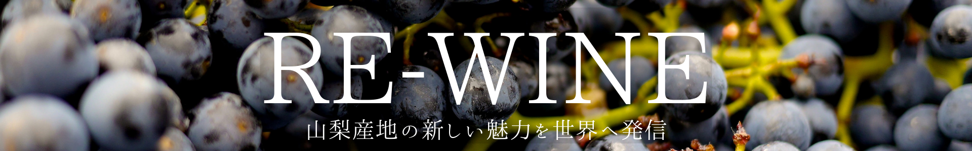 RE-WINEとは　山梨産地の新しい魅力を世界へ発信