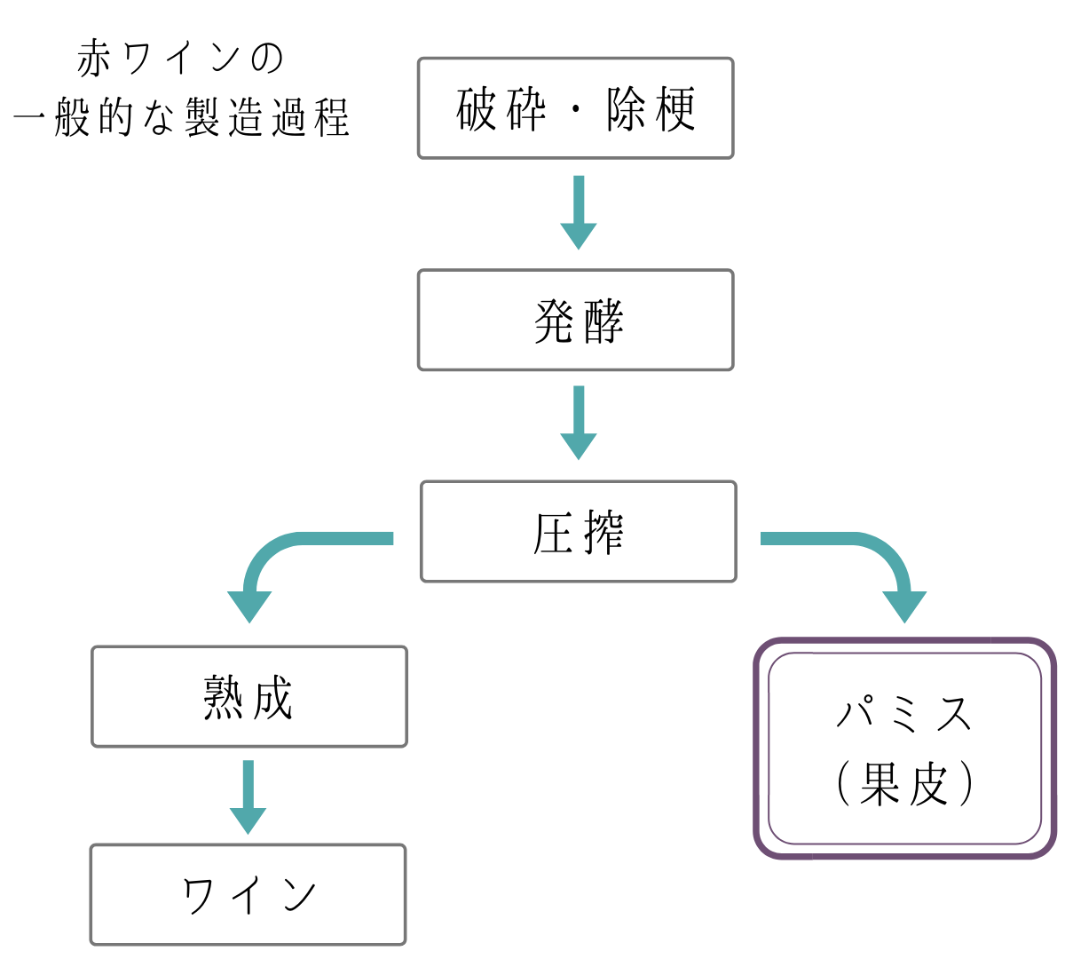 ワインパミスができるまでの工程　赤ワイン