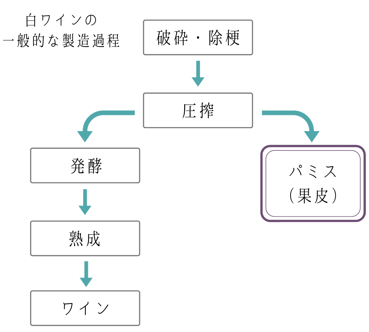 ワインパミスが出来るまでの工程　白ワイン